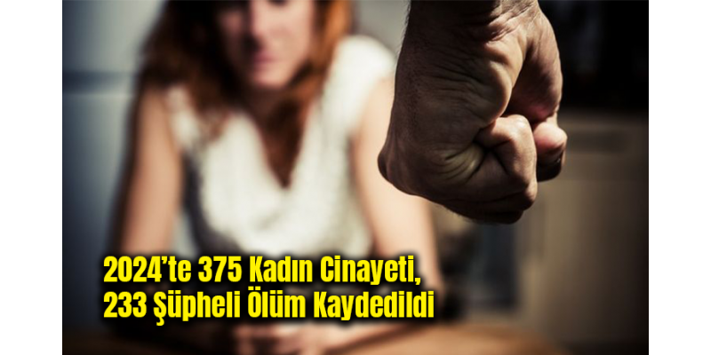 2024’te 375 Kadın Cinayeti, 233 Şüpheli Ölüm Kaydedildi
