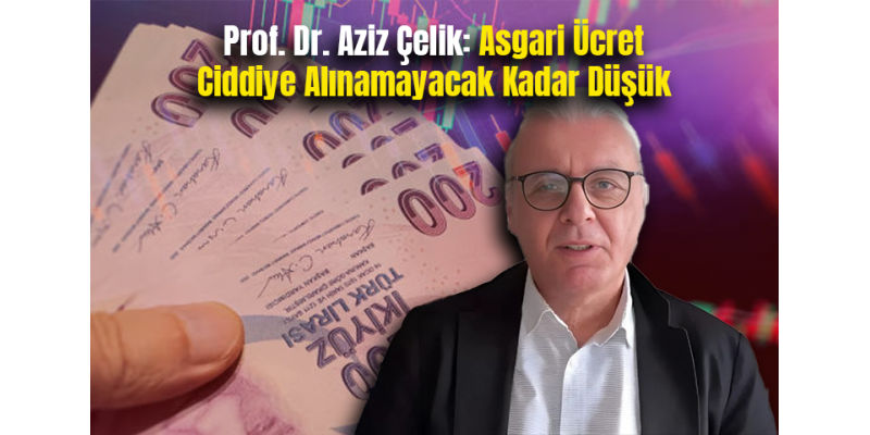 Prof. Dr. Aziz Çelik: Asgari Ücret Ciddiye Alınamayacak Kadar Düşük