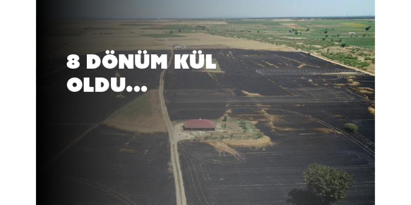 Lüleburgaz Ertuğrul Köyü'nde Buğday Tarlasında Yangın: 8 Dönüm Kül Oldu