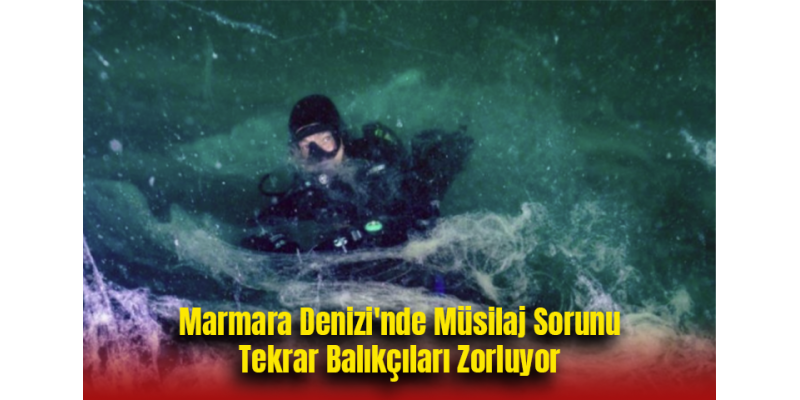 Marmara Denizi'nde Müsilaj Sorunu Tekrar Balıkçıları Zorluyor