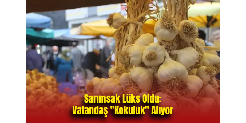 Sarımsak Lüks Oldu: Vatandaş "Kokuluk" Alıyor