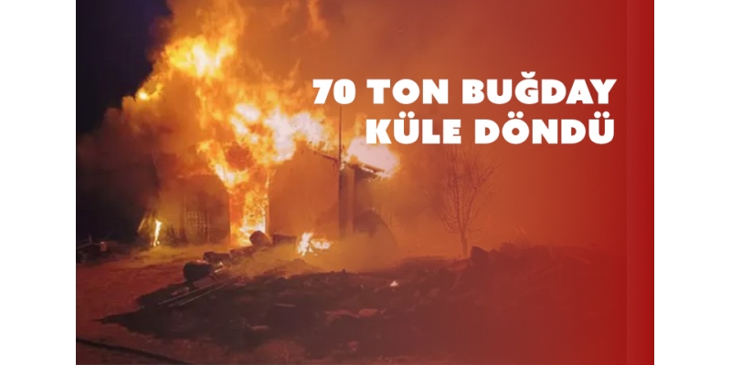 Kahramanmaraş’ta Tahıl Deposu Yangını: Büyük Zarar
