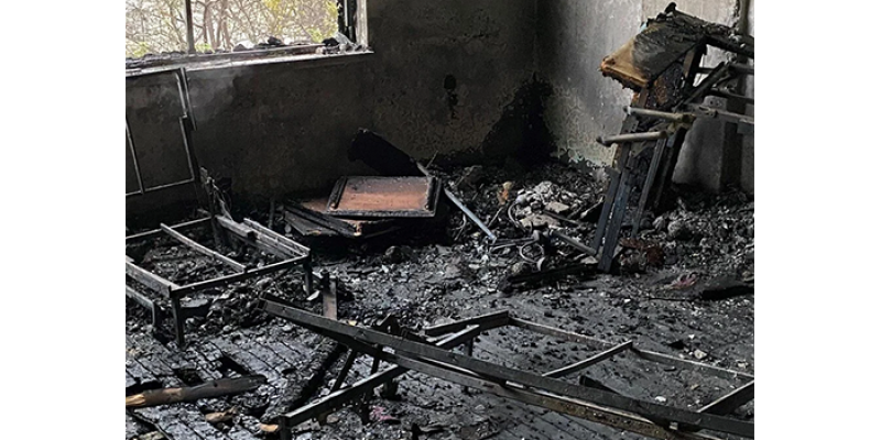 Elektrikli Isıtıcı Yangına Neden Oldu: 4 Yavru Köpek Öldü