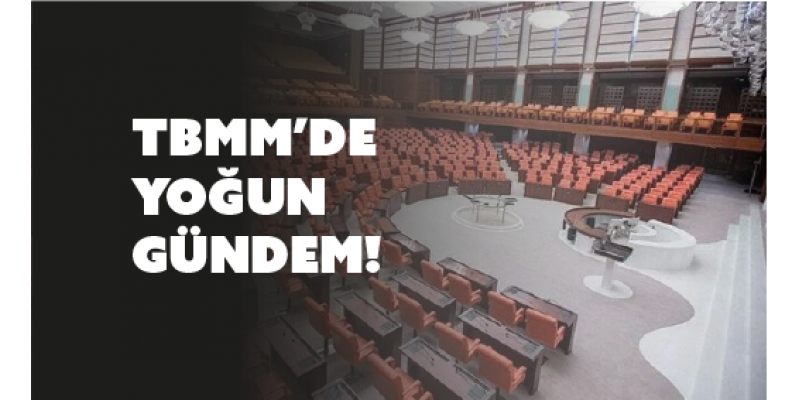TBMM, 9. Yargı Paketi ve 2025 Bütçesi ile Gündemini Belirliyor