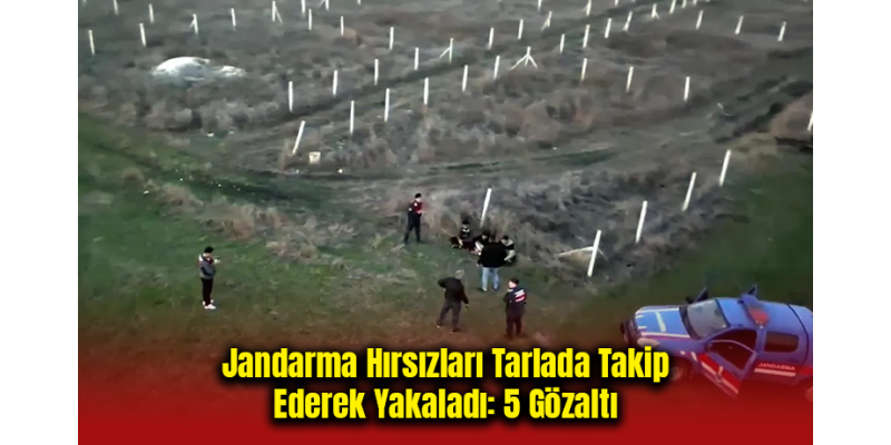 Jandarma Hırsızları Tarlada Takip Ederek Yakaladı: 5 Gözaltı