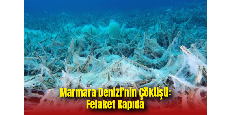 Marmara Denizi’nin Çöküşü: Felaket Kapıda