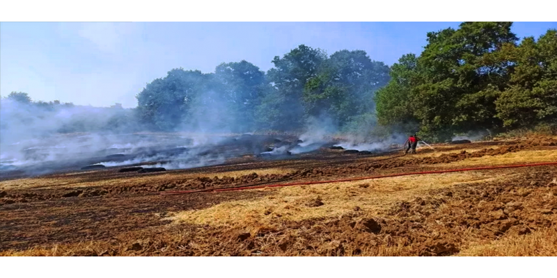 Kocaeli’de Tarım Arazisindeki Yangına Erken Müdahale