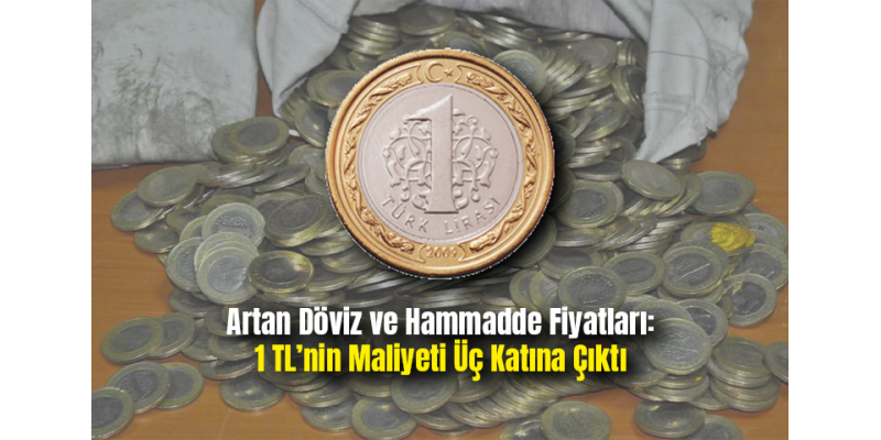 Artan Döviz ve Hammadde Fiyatları: 1 TL’nin Maliyeti Üç Katına Çıktı
