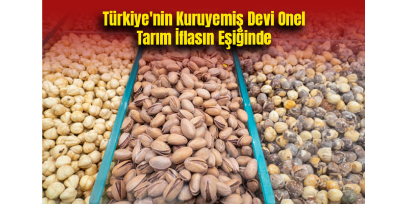 Türkiye'nin Kuruyemiş Devi Onel Tarım İflasın Eşiğinde
