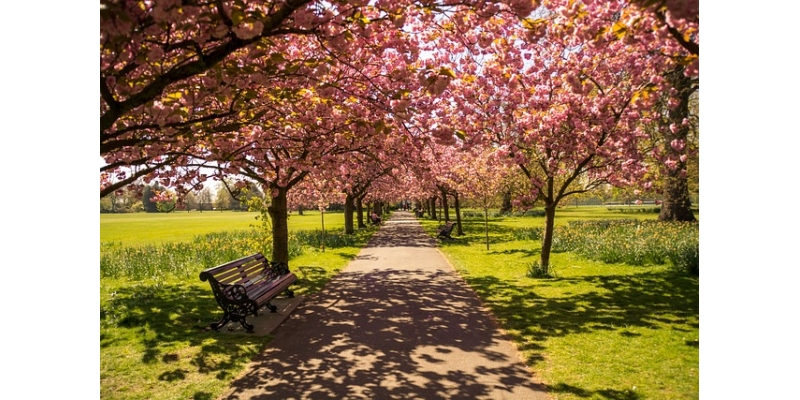 İstanbul’un Hyde Park’ı Açılıyor!